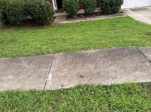 Amanda D.'s grass maintenance service result