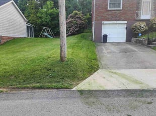 Darrell W.'s turf maintenance service result