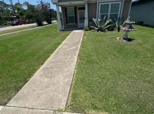 Eddie G.'s lawn care service result
