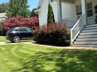 Bryant V.'s grass maintenance service result