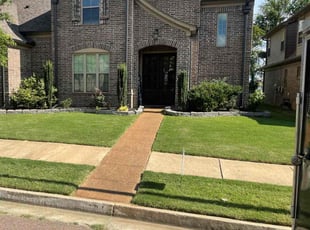 Lorraine P.'s grass maintenance service result