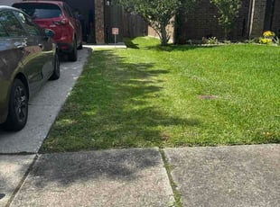 Mary R.'s lawn care services service result