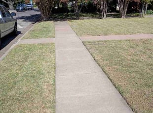 Bill S.'s lawn service service result