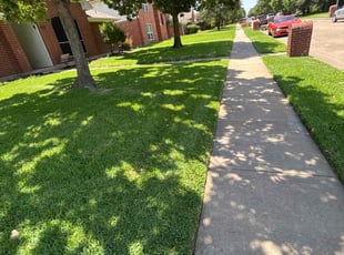 Madeleine W.'s Bush Trimming service result