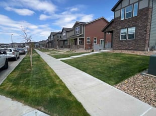 Tonnett D.'s grass cutting service result