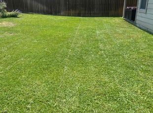 Clarence R.'s lawn care services service result