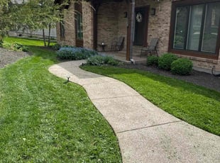 Kim F.'s turf maintenance service result