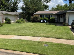 Nick P.'s grass cutting service result