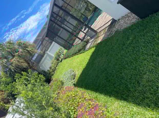 Sarah H.'s Flower Bed Weeding service result