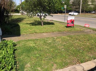 Keith A.'s Leaf Removal service result