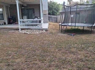 Sheri M.'s grass maintenance service result