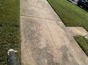 Rosa G.'s Long Grass Cleanup service result