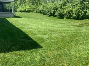 Joan R.'s turf care service result