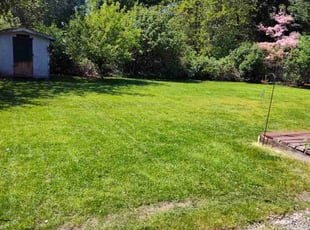 Bill M.'s turf maintenance service result