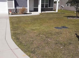 Jesse C.'s turf care service result