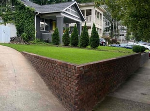 Sandra M.'s grass maintenance service result