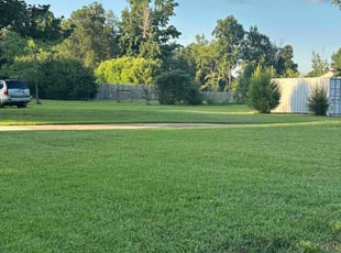 Eric D.'s lawn maintenance service result