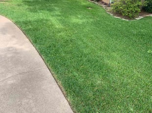 Kevin F.'s turf care service result