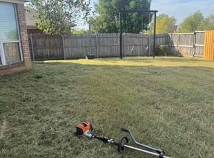 Michael F.'s grass maintenance service result
