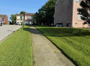 Brian S.'s lawn maintenance service result