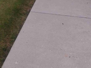 Teri N.'s lawn care services service result