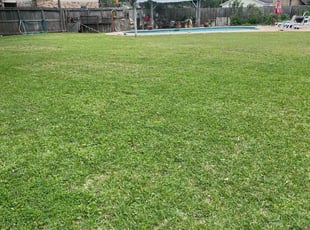 Antis G.'s lawn care services service result