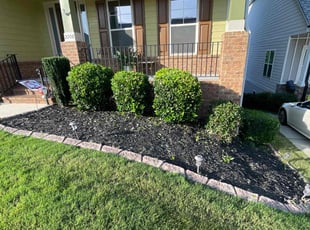 James C.'s Bush Trimming service result