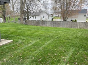 William E.'s lawn care service result