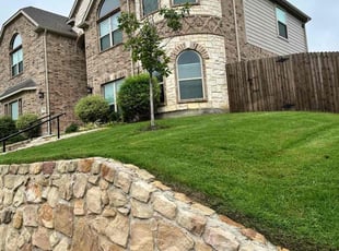 Eian Y.'s lawn service service result