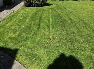 Mike R.'s lawn care service result