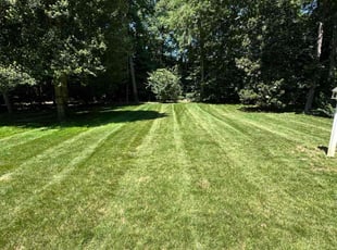 David K.'s lawn maintenance service result