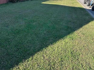 April F.'s turf maintenance service result