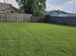 Nicolette C.'s grass maintenance service result