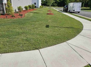 Sarah K.'s lawn maintenance service result