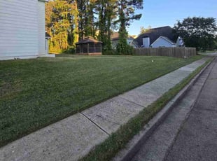 Ruth H.'s lawn care services service result