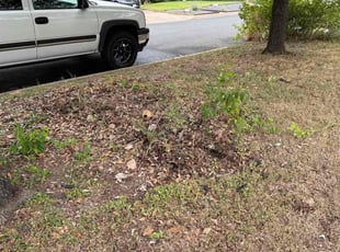 Pat M.'s Cleanups service result