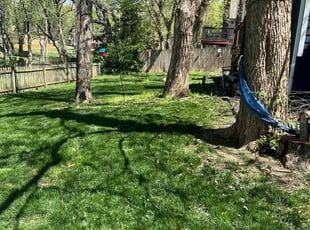 Bradley M.'s lawn service service result