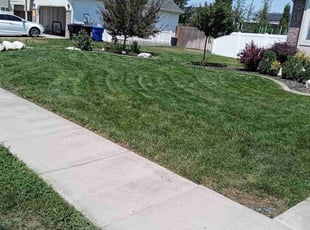 Tara A..'s lawn maintenance service result