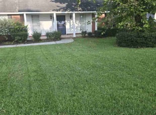 Domineik R.'s turf care service result