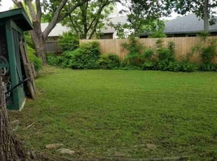 Adrian M.'s lawn maintenance service result
