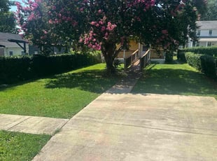 Mary M.'s turf care service result