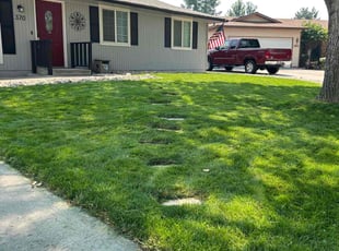 Emily N.'s grass cutting service result