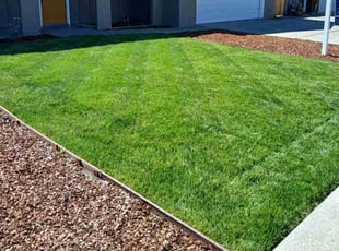 Korinn R.'s lawn care services service result