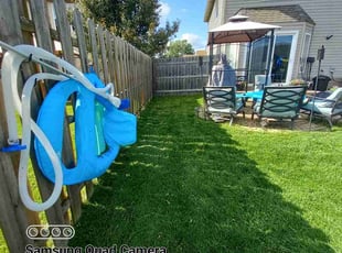 Doug C.'s lawn care service result