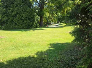 Cancel S.'s lawn care service result