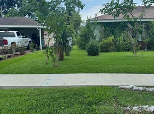 Deanna E.'s turf maintenance service result