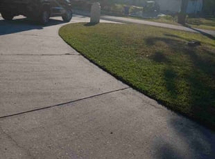 Paul L.'s Leaf Removal service result