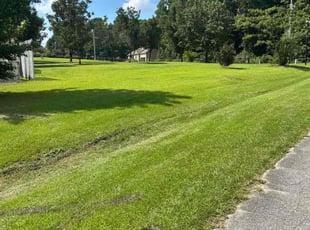 Eve C.'s turf care service result