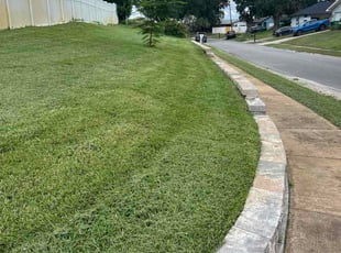 Dina A.'s turf maintenance service result