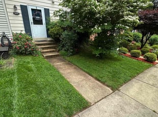 John B.'s grass cutting service result